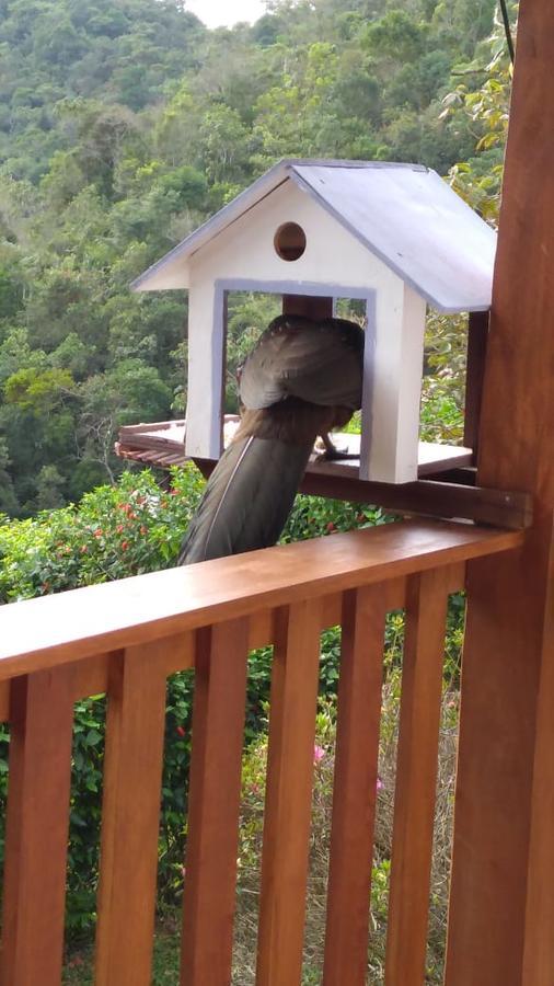 Casa Sossego Da Montanha Villa Visconde De Maua Bagian luar foto